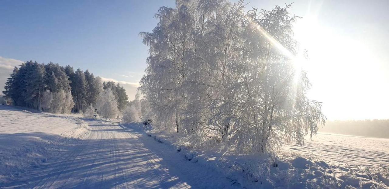 Ostoja Bukowo 12,2 Chata U Szoltesa Borowy Mlyn ภายนอก รูปภาพ